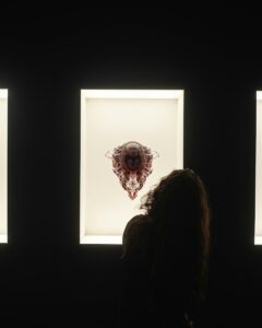 a woman standing in front of a window looking at a piece of art